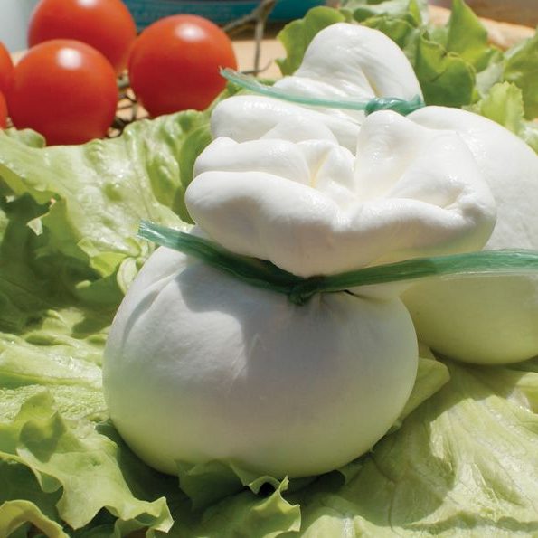 latticini e formaggi